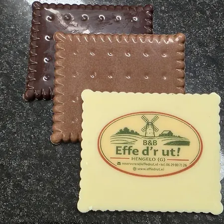 Effe D'r Ut Bed & Breakfast Hengelo (Gelderland)