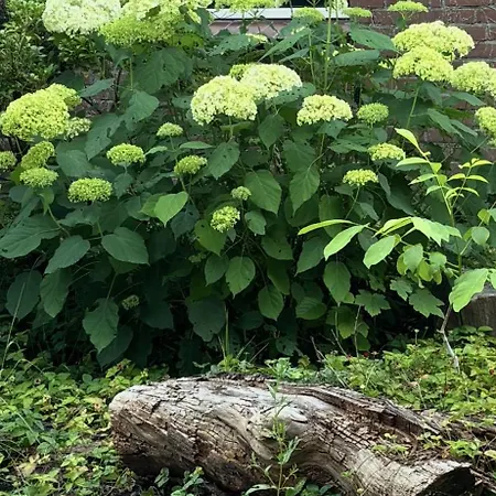 Effe D'r Ut Hengelo (Gelderland)